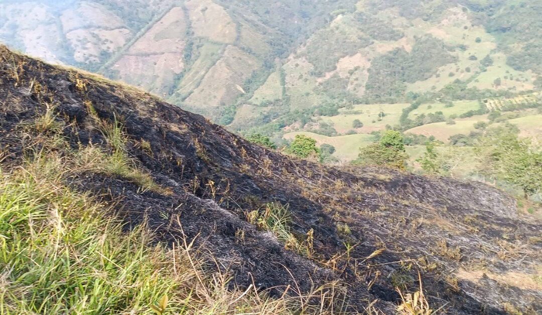 Un incendio forestal arrasó con 15 hectáreas en la localidad de Pácora